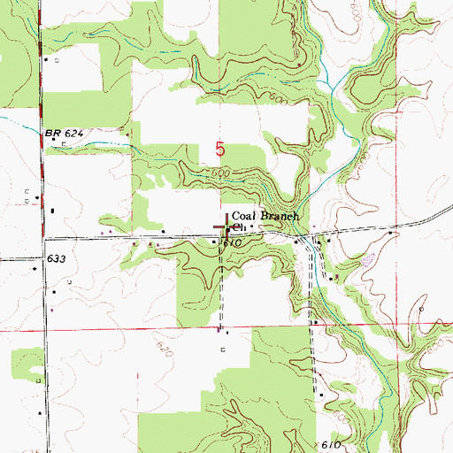 Topographic Map of Coal Branch Church, IN