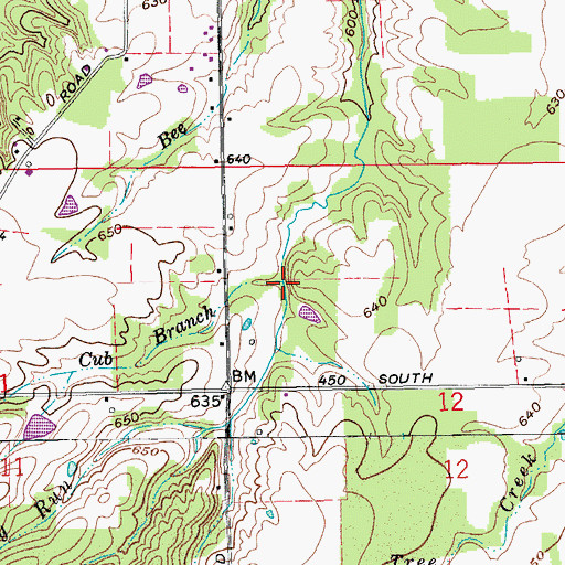 Topographic Map of Cub Branch, IN