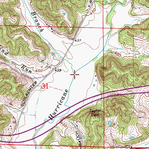 Topographic Map of Cyclone Branch, IN