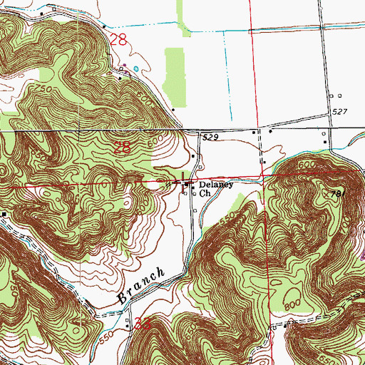 Topographic Map of Delaney Church, IN