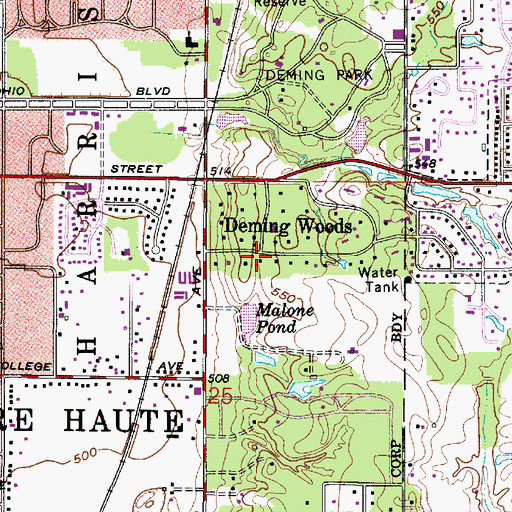 Topographic Map of Deming Woods, IN