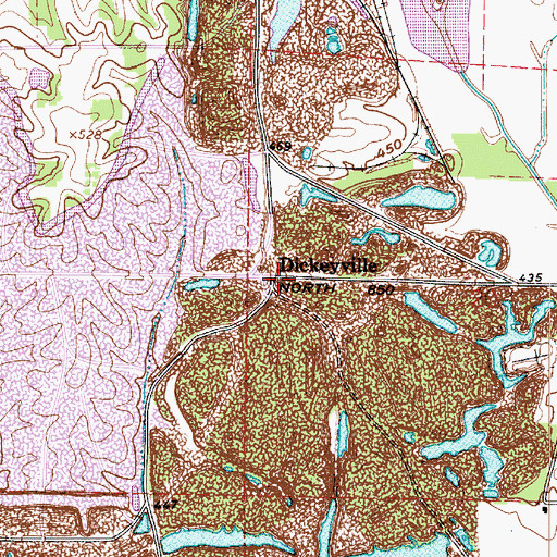 Topographic Map of Dickeyville, IN