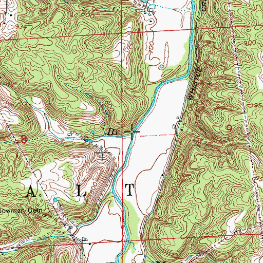 Topographic Map of Dodson Branch, IN