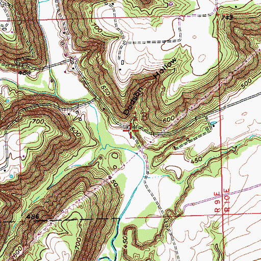 Topographic Map of Dodson Hollow, IN