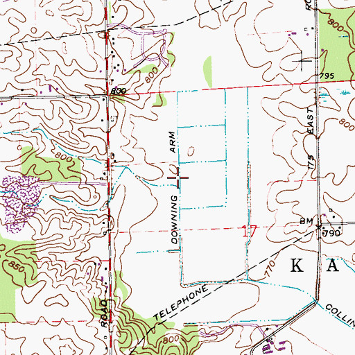 Topographic Map of Downing Arm, IN