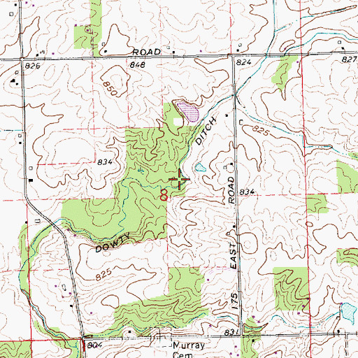 Topographic Map of Dowty Ditch, IN