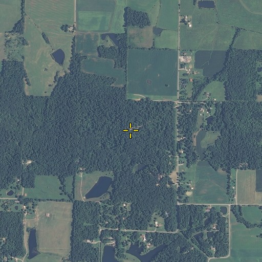 Aerial/Satellite Image of Dyson Knob, IN