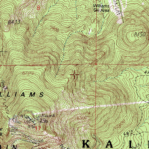 Topographic Map of Williams Ski Run, AZ