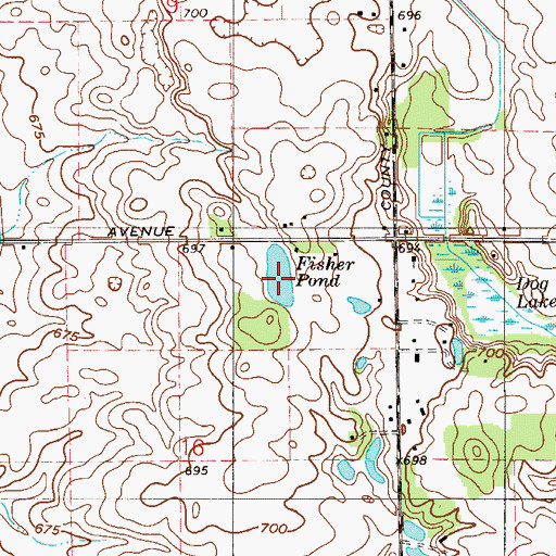 Topographic Map of Fisher Pond, IN