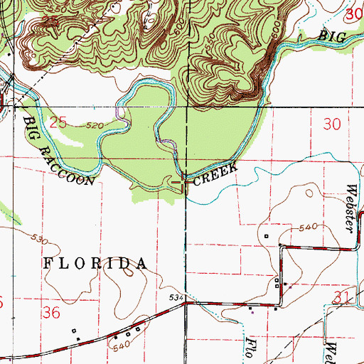 Topographic Map of Flo Run, IN