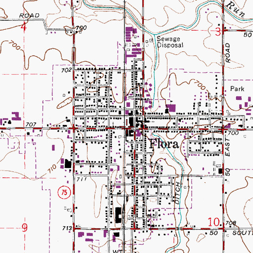 Topographic Map of Flora, IN