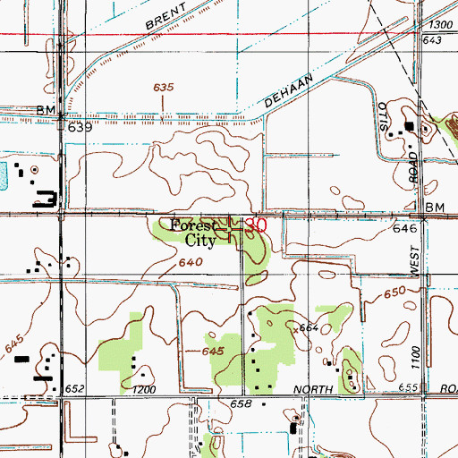 Topographic Map of Forest City, IN