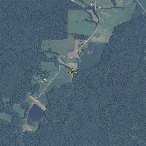 Aerial/Satellite Image of Forest Run, IN
