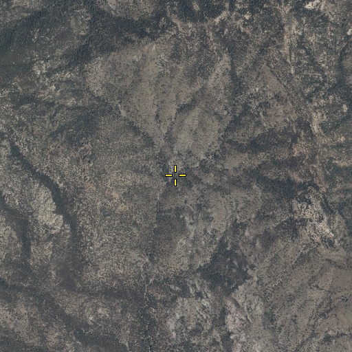 Aerial/Satellite Image of Echols Spring, AZ
