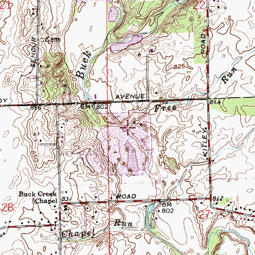 Topographic Map of Free Run, IN