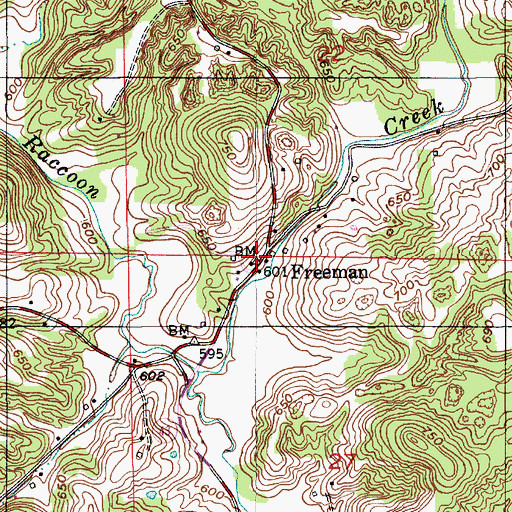 Topographic Map of Freeman, IN