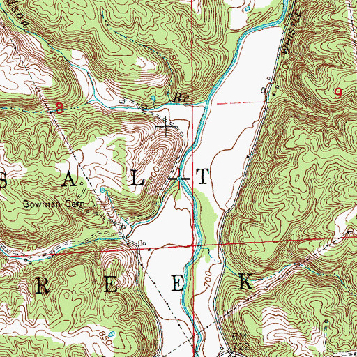 Topographic Map of Fremont Branch, IN