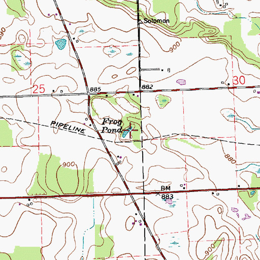 Topographic Map of Frog Pond, IN