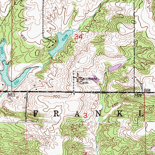 Topographic Map of Galimore Cemetery, IN