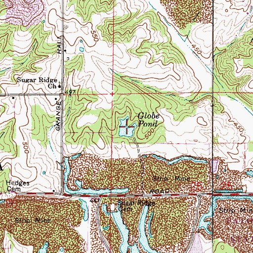 Topographic Map of Globe Pond, IN