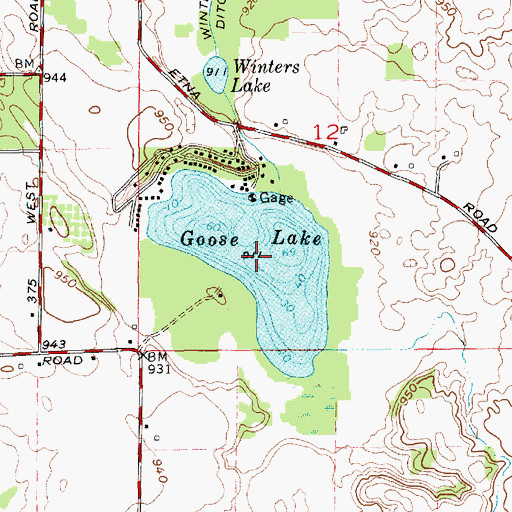 Topographic Map of Goose Lake, IN