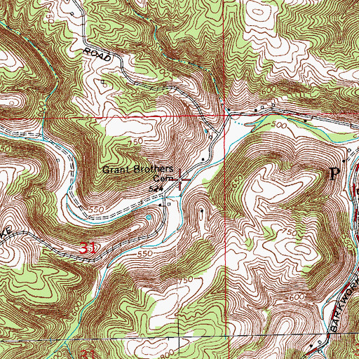 Topographic Map of Grant Brothers Cemetery, IN