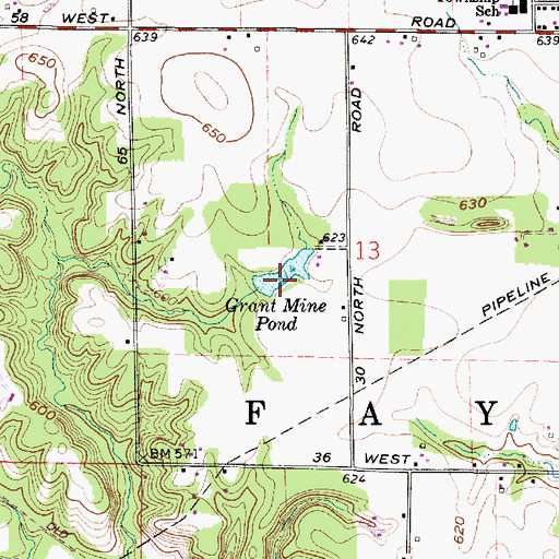 Topographic Map of Grant Mine Pond, IN