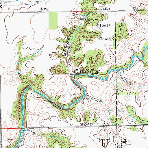 Topographic Map of Grapevine Branch, IN