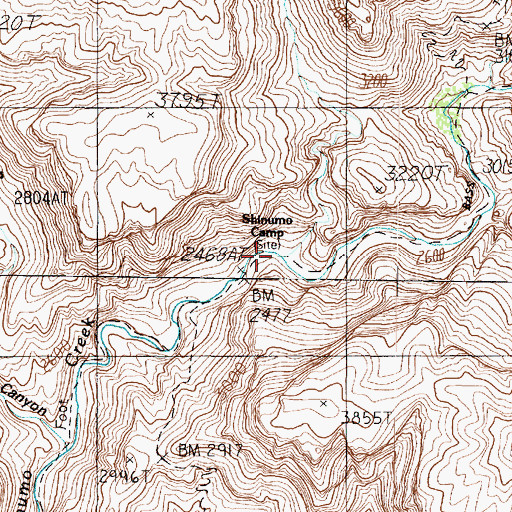 Topographic Map of Shinumo Camp, AZ