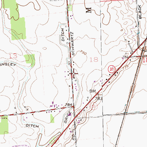 Topographic Map of Grice Ditch, IN