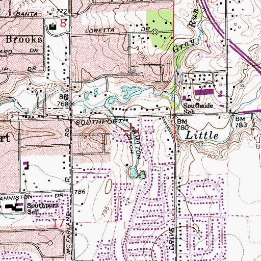 Topographic Map of Hamilton Ditch, IN
