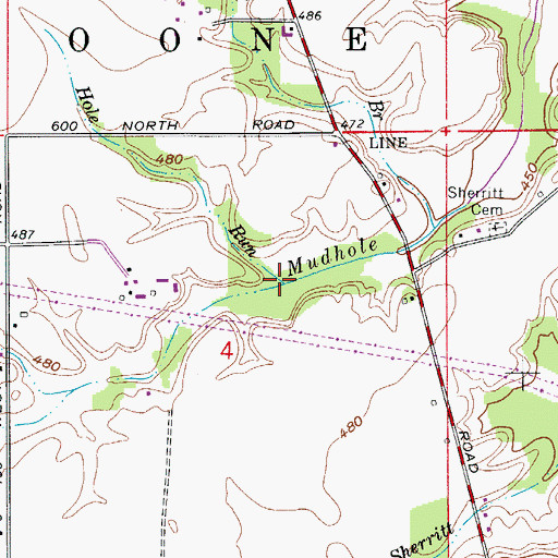 Topographic Map of Hole Run, IN