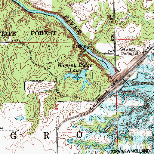 Topographic Map of Hominy Ridge Lake, IN