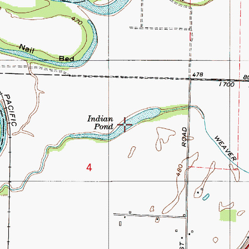 Topographic Map of Indian Pond, IN