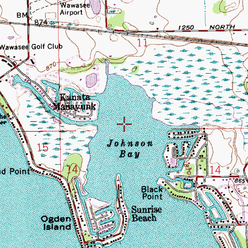 Topographic Map of Johnson Bay, IN