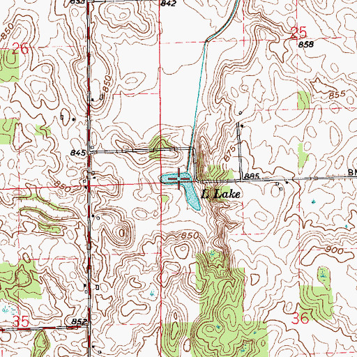 Topographic Map of L Lake, IN