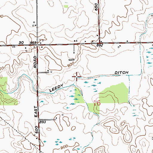 Topographic Map of Leedy Ditch, IN