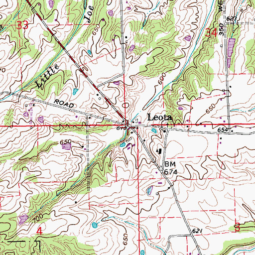 Topographic Map of Leota, IN