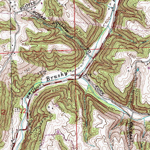 Topographic Map of Little Brushy Fork, IN