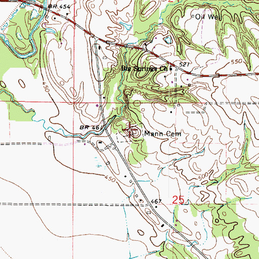 Topographic Map of Mann Cemetery, IN