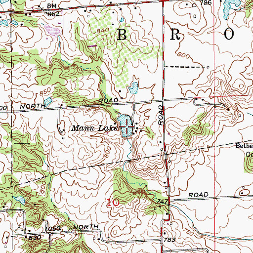 Topographic Map of Mann Lake, IN
