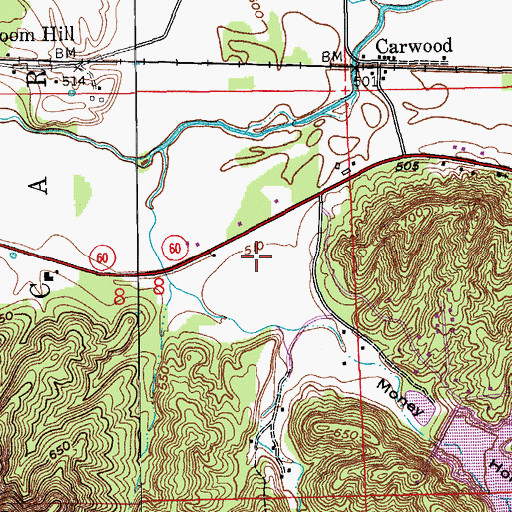 Topographic Map of Money Hollow, IN