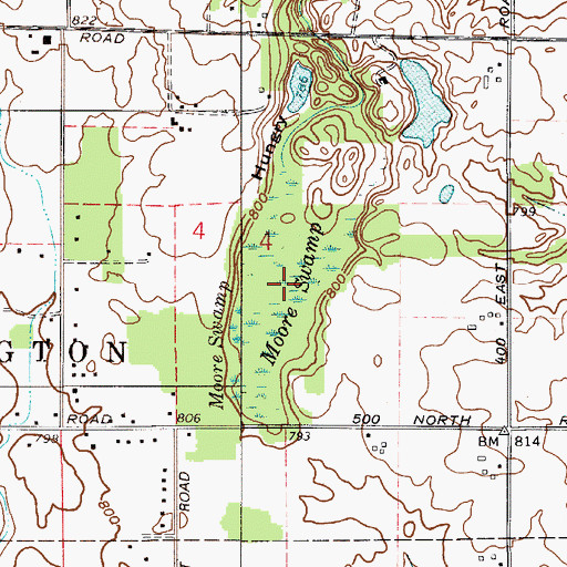 Topographic Map of Moore Swamp, IN