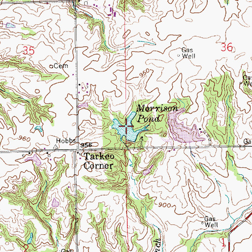 Topographic Map of Morrison Pond, IN