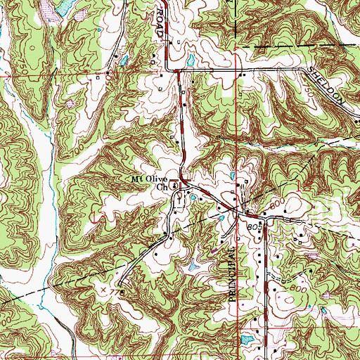 Topographic Map of Mount Olive Church, IN