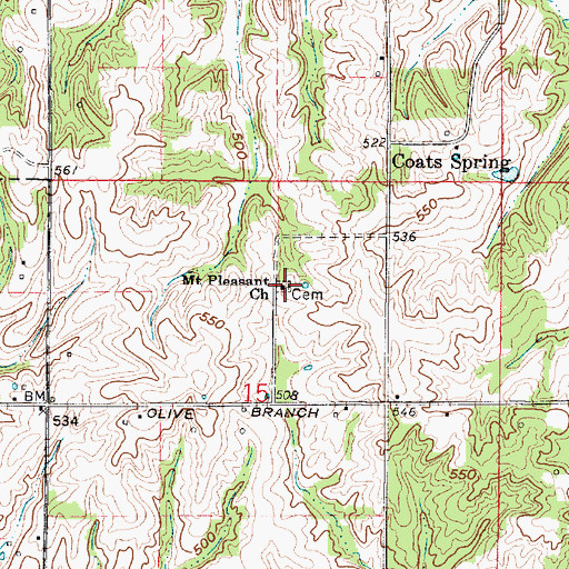 Topographic Map of Mount Pleasant Church, IN