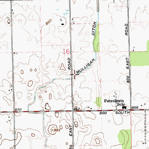 Topographic Map of Mulligan Ditch, IN