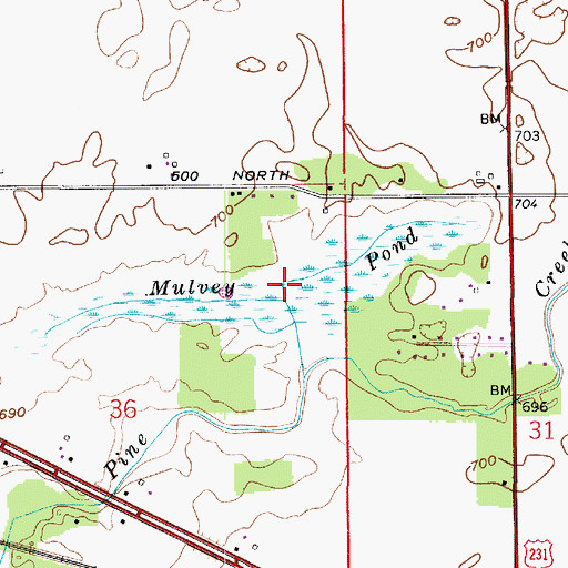 Topographic Map of Mulvey Pond, IN