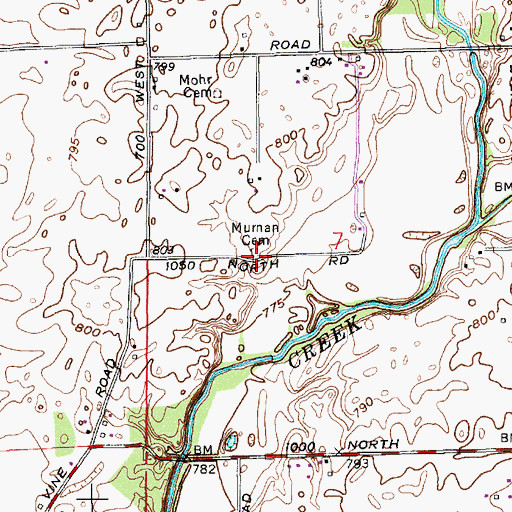 Topographic Map of Murnan Cemetery, IN