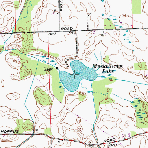 Topographic Map of Muskellunge Lake, IN